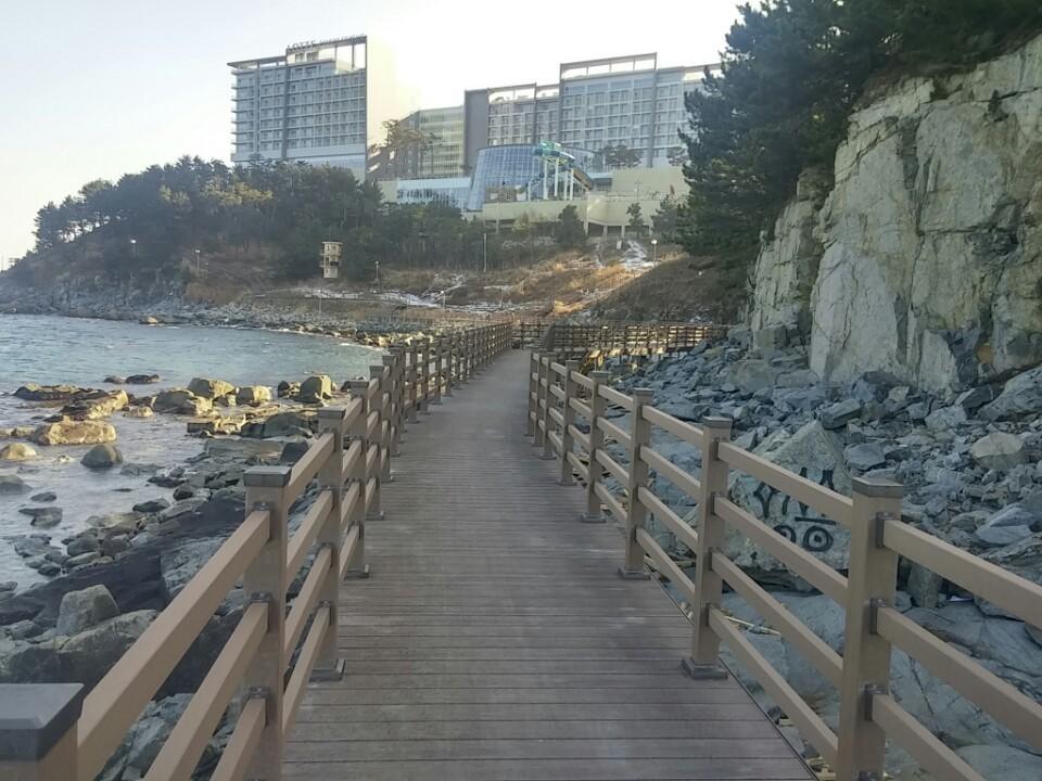 블루 도어 호스텔 *